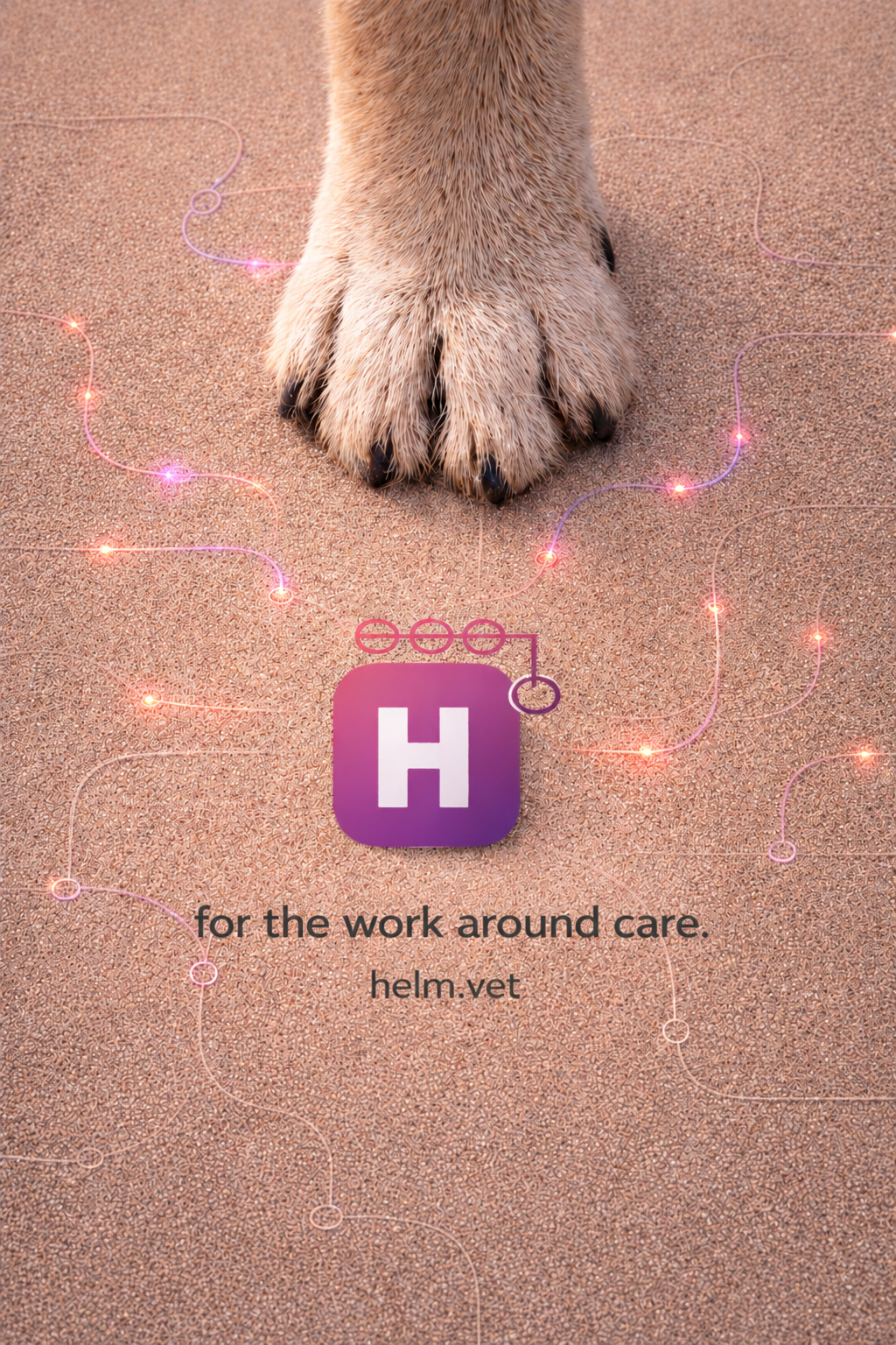 A paw resting on sand, connected by glowing lines representing the network of work around care